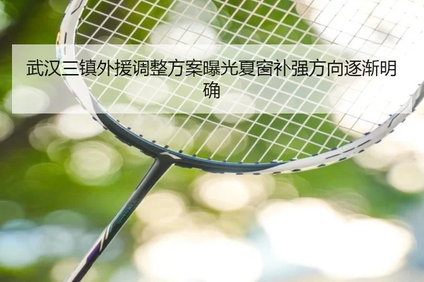 武汉三镇外援调整方案曝光夏窗补强方向逐渐明确